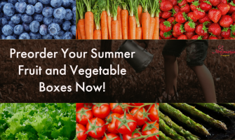 Fruit and Vegetable Boxes Start Week of June 26! Fruit and Vegetable Boxes Start Week of June 26!