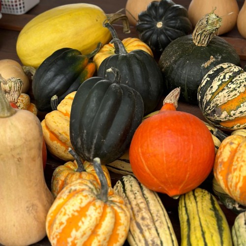 Squash - Mix & Match - per lb Squash - Mix & Match - per lb