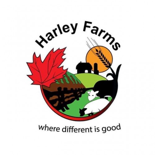 Turkey Pot Pie - Individual Serving Turkey Pot Pie - Individual Serving