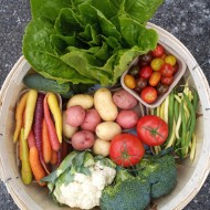 Vegetable Box - Ontario/Quebec