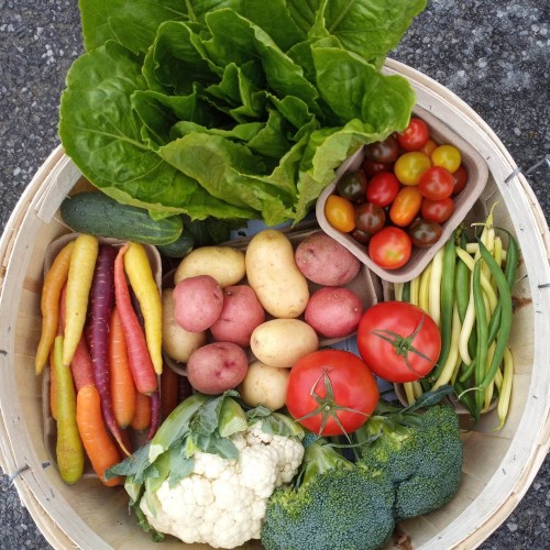 Vegetable Box - Ontario/Quebec Vegetable Box - Ontario/Quebec