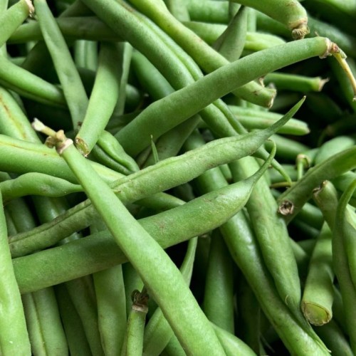 Green Beans - Ontario Green Beans - Ontario