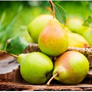 Pears -  Bartlett - Basket