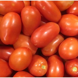  Tomatoes - Roma - 30 lbs