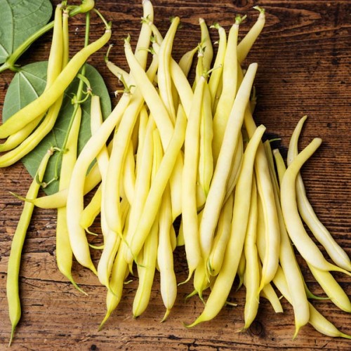 Beans - Yellow - Ontario Beans - Yellow - Ontario