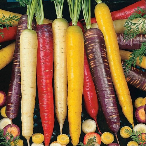 Rainbow Carrots - Ontario  Rainbow Carrots - Ontario