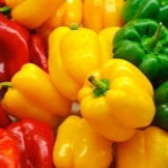 Peppers - Set of 2 - Ontario