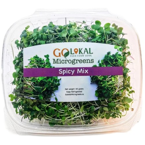 Microgreens - Spicy Mix - 65 g Microgreens - Spicy Mix - 65 g